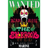 One Piece Brook 1 One Piece Brook 1
